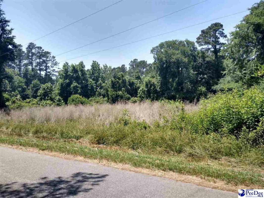 147 DEESE RD LOT 0, BENNETTSVILLE, SC 29512, photo 1 of 3