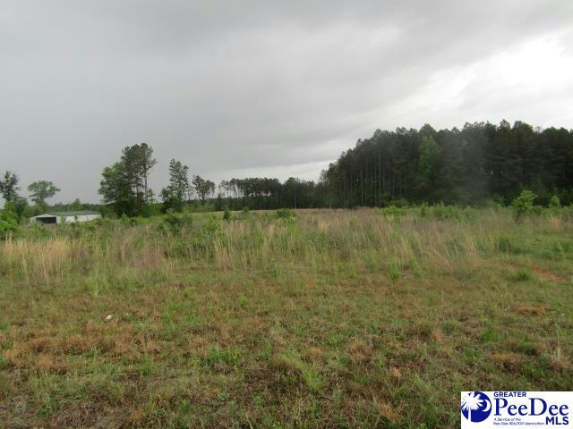 TBD W COUNTRYSIDE, DILLON, SC 29536, photo 1 of 5