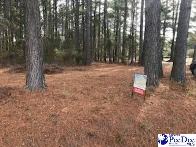 LOT 2 STONEWALL PLANTATION AND TWIN CHURCH RD, TIMMONSVILLE, SC 29161, photo 1 of 5
