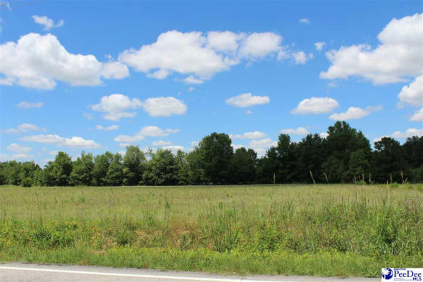 LOT 15 LUTHER ROGERS RD., MARION, SC 29571 - Image 1
