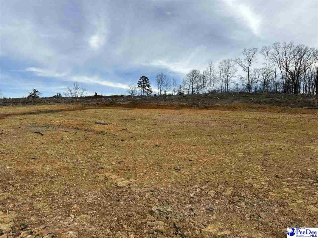 2.50 AC TRACT GREEN ST, CHESTERFIELD, SC 29709, photo 1 of 4