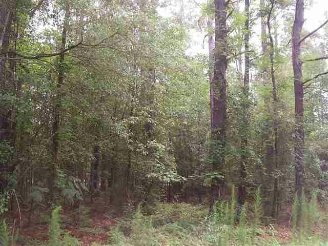 LOT 34 TREMONT CIRCLE, HARTSVILLE, SC 29550, photo 1