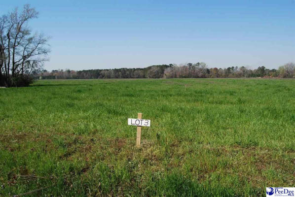 LOT 2 CLEARBROOK RD, EFFINGHAM, SC 29541, photo 2 of 8