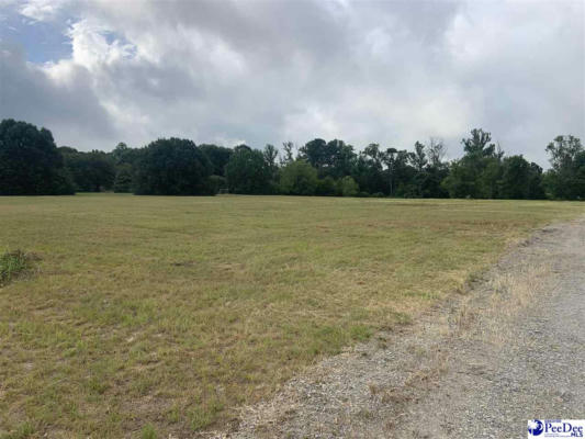 LOT 1 TOMAHAWK RD, LAMAR, SC 29069, photo 5 of 12