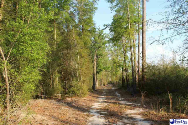 14.5 ACRE HWY. 41, MARION, SC 29571, photo 2 of 5