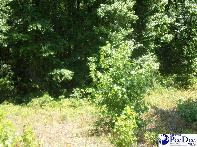 LOT 34 & 33 WILLIS DR, HARTSVILLE, SC 29550, photo 1