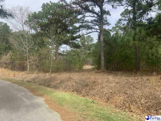 LOT A AMMONS LANE, HARTSVILLE, SC 29550, photo 4 of 7