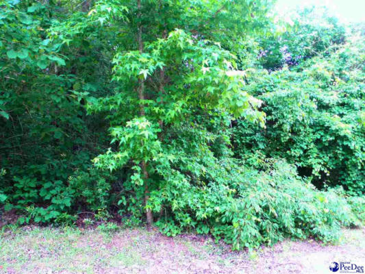 LOT #4 GEE VALLEY DR., TIMMONSVILLE, SC 29161, photo 2 of 2