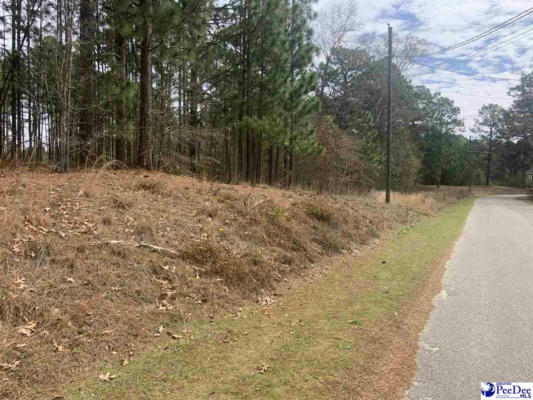 LOT A AMMONS LANE, HARTSVILLE, SC 29550, photo 2 of 7