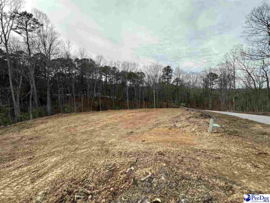1.3 AC LOT GREEN ST, CHESTERFIELD, SC 29709, photo 2 of 7