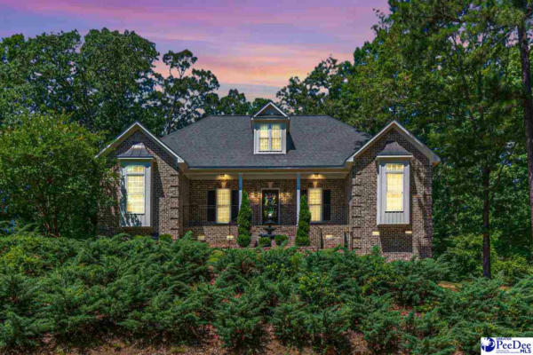 140 TAVERN BRANCH DR, CHESTERFIELD, SC 29709 - Image 1