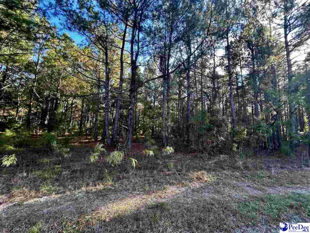 TBD ST HIGHWAY 727, PAMPLICO, SC 29583, photo 1 of 5
