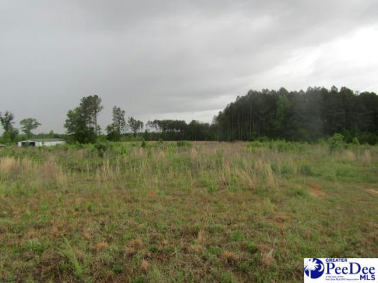 TBD W COUNTRYSIDE, DILLON, SC 29536, photo 4 of 5