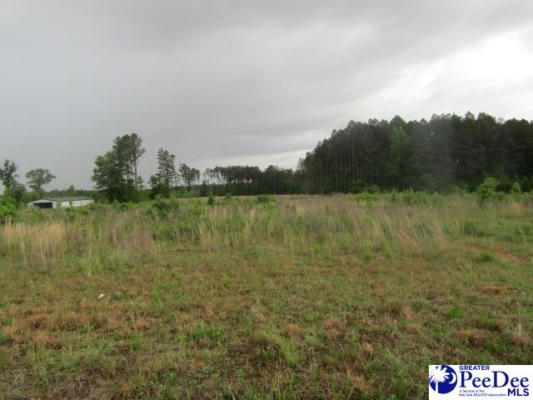 TBD W COUNTRYSIDE, DILLON, SC 29536, photo 2 of 5