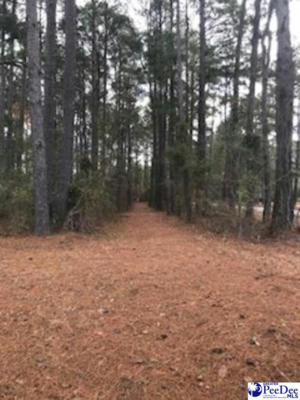 LOT 2 STONEWALL PLANTATION AND TWIN CHURCH RD, TIMMONSVILLE, SC 29161, photo 4 of 5