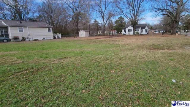 207 W LIBERTY ST, MARION, SC 29571, photo 3 of 5