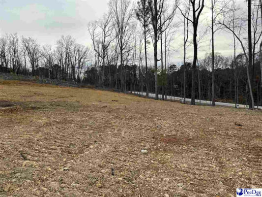 2.50 AC TRACT GREEN ST, CHESTERFIELD, SC 29709, photo 4 of 4