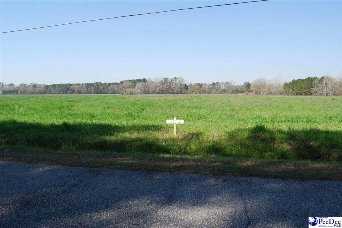 LOT 2 CLEARBROOK RD, EFFINGHAM, SC 29541, photo 1 of 8