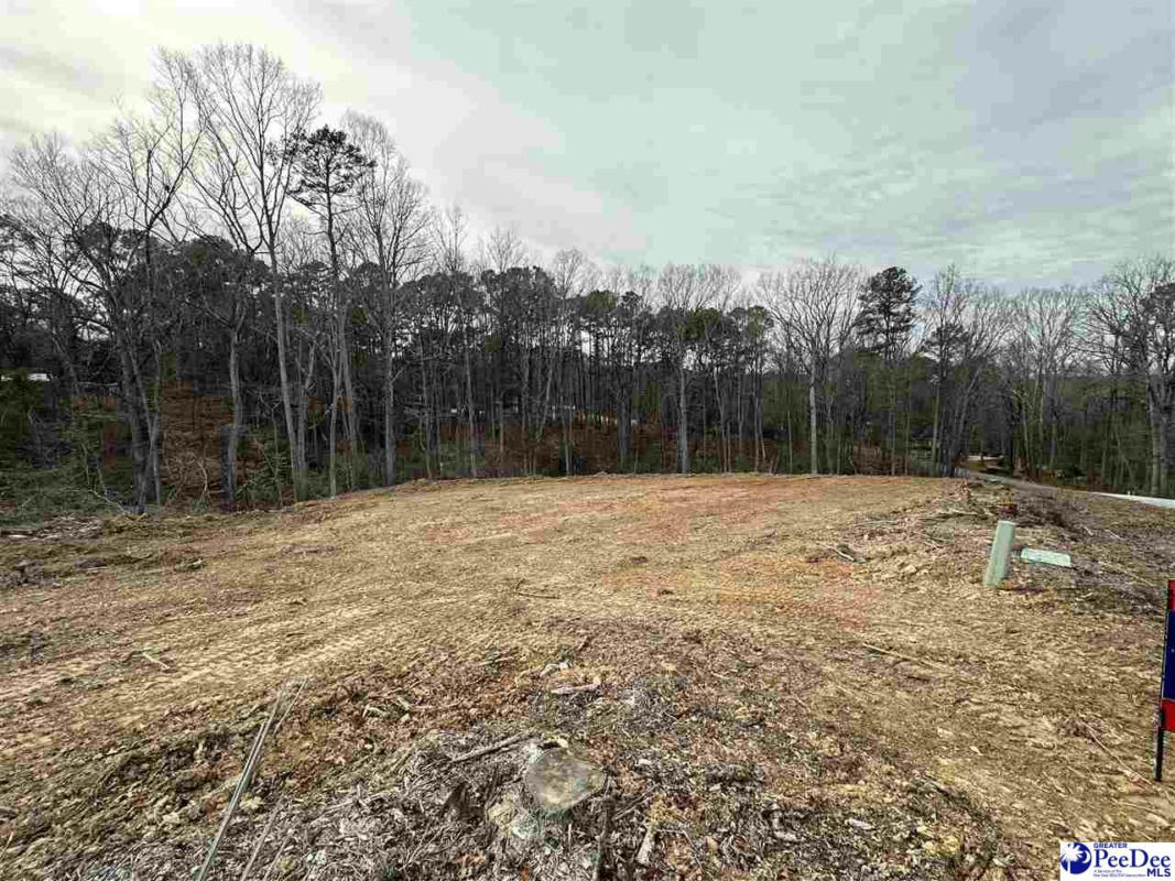1.3 AC LOT GREEN ST, CHESTERFIELD, SC 29709, photo 1 of 7