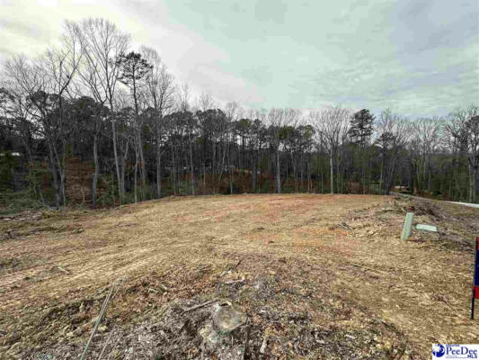 1.3 AC LOT GREEN ST, CHESTERFIELD, SC 29709 - Image 1