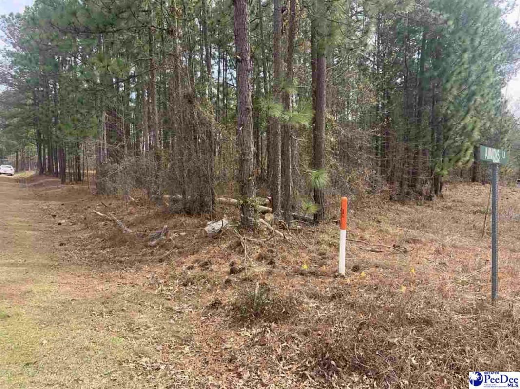 LOT A AMMONS LANE, HARTSVILLE, SC 29550, photo 1 of 7