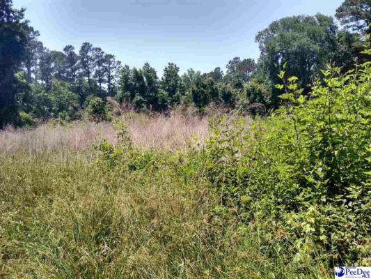 147 DEESE RD LOT 0, BENNETTSVILLE, SC 29512, photo 2 of 3