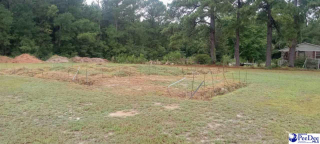 2412 ALLIGATOR RD, EFFINGHAM, SC 29541, photo 4 of 5