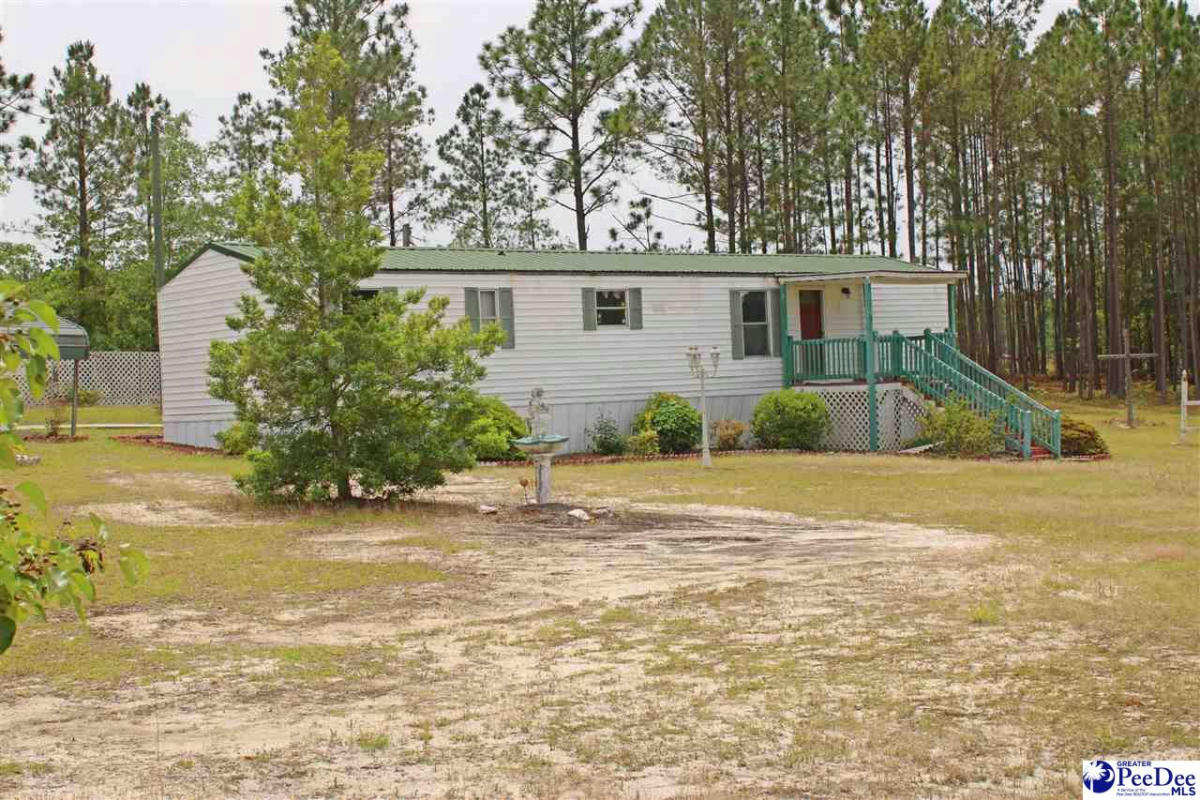 1965 CHEWNING RD, PATRICK, SC 29584, photo 1 of 28