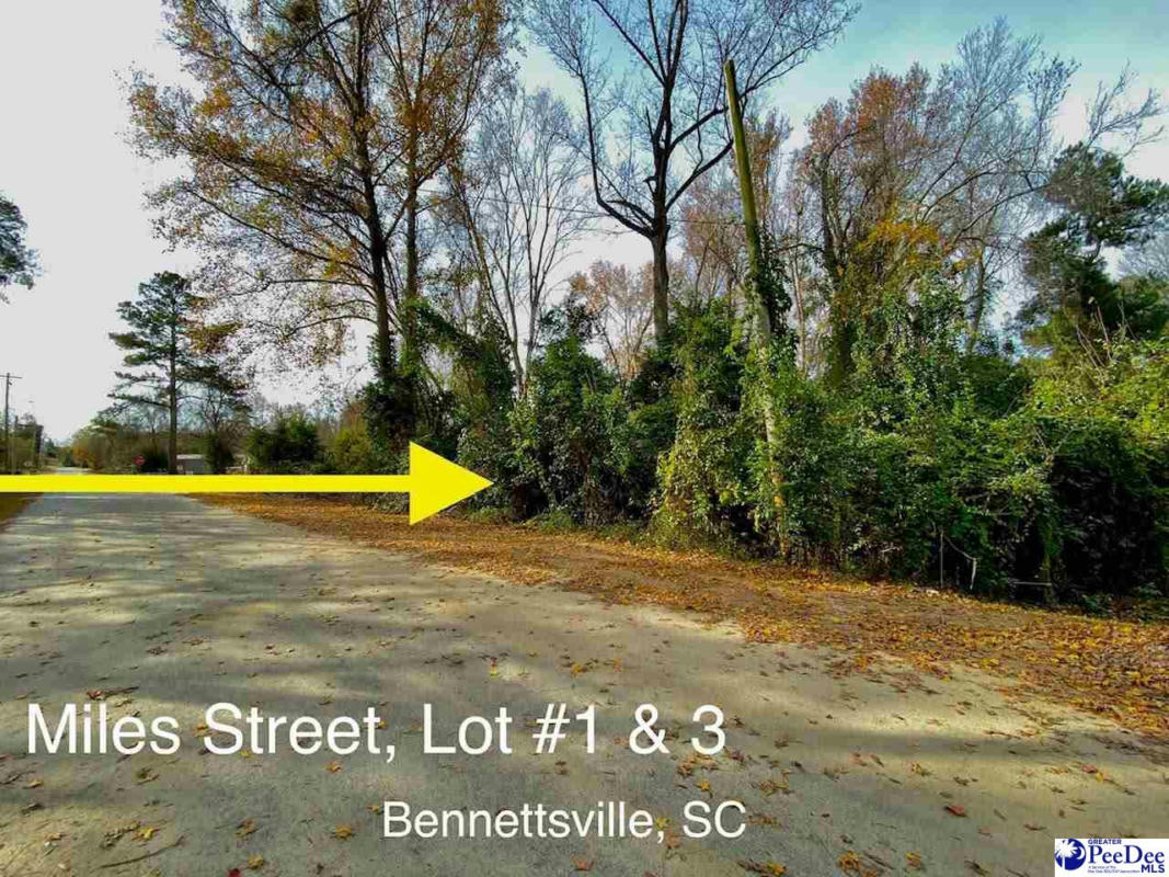 LOT 1 & 3 MILES STREET, BENNETTSVILLE, SC 29512, photo 1 of 3