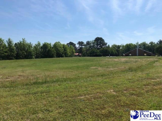 1.45 ACRE TRACT STATE ROAD, CHERAW, SC 29520, photo 2 of 4