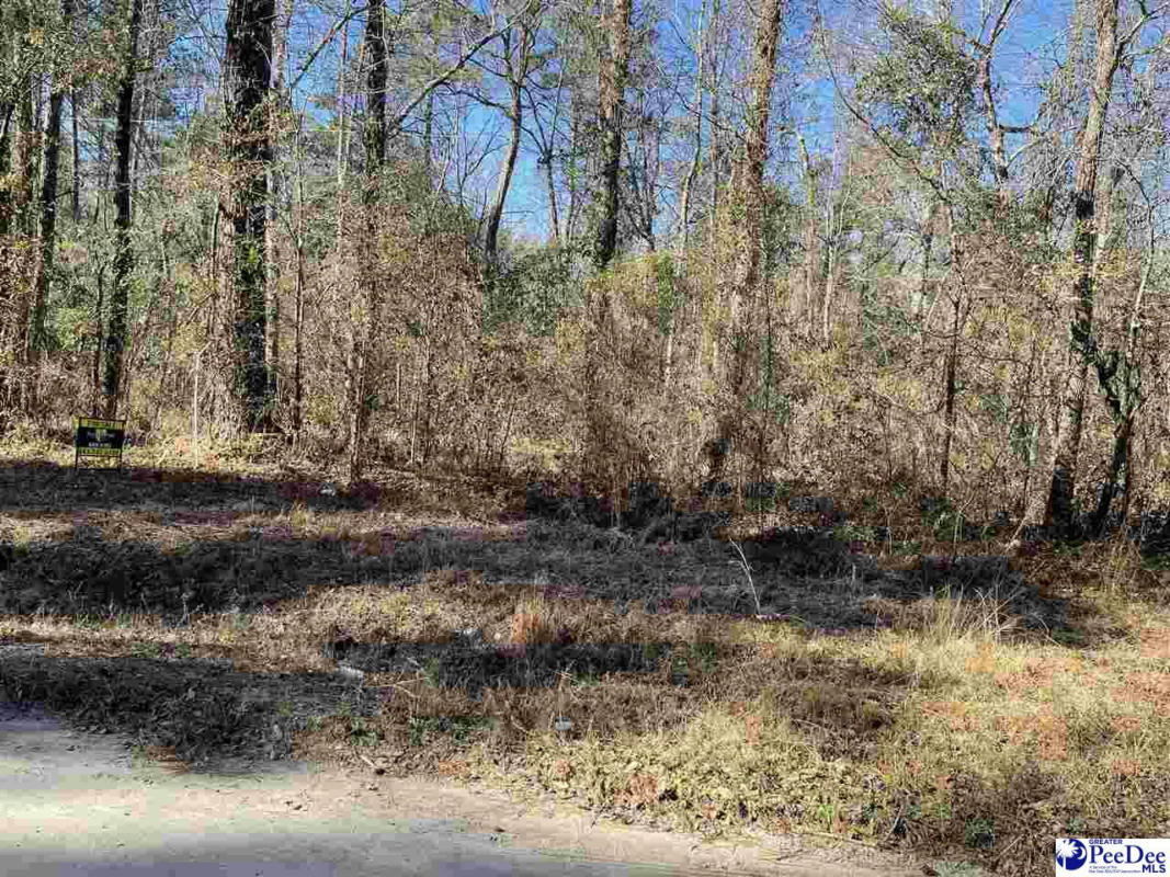 LOT ON SPRING HILL RD, TIMMONSVILLE, SC 29161, photo 1
