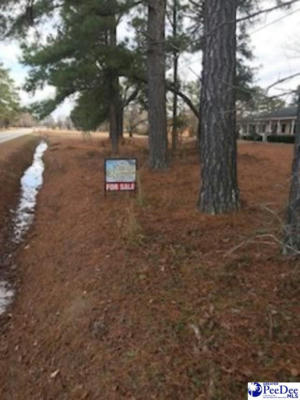 LOT 2 STONEWALL PLANTATION AND TWIN CHURCH RD, TIMMONSVILLE, SC 29161, photo 2 of 5