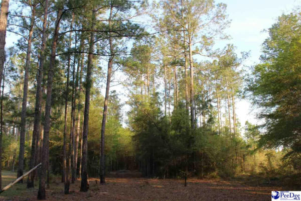 14.5 ACRE HWY. 41, MARION, SC 29571, photo 5 of 5