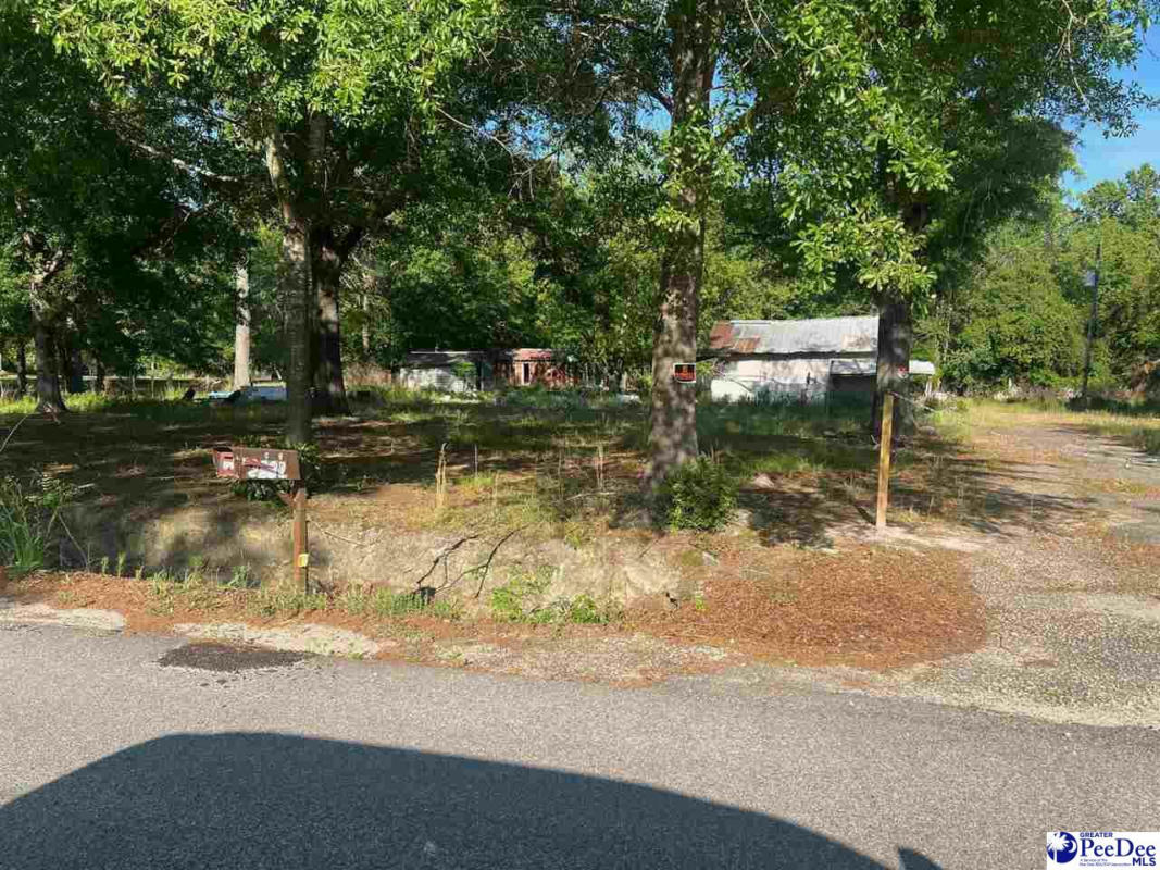 2332 SOUTH POINT RD, EFFINGHAM, SC 29541, photo 1 of 3