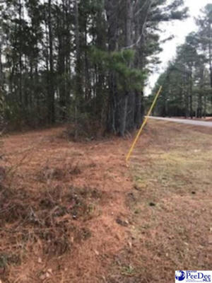 LOT 2 STONEWALL PLANTATION AND TWIN CHURCH RD, TIMMONSVILLE, SC 29161, photo 3 of 5