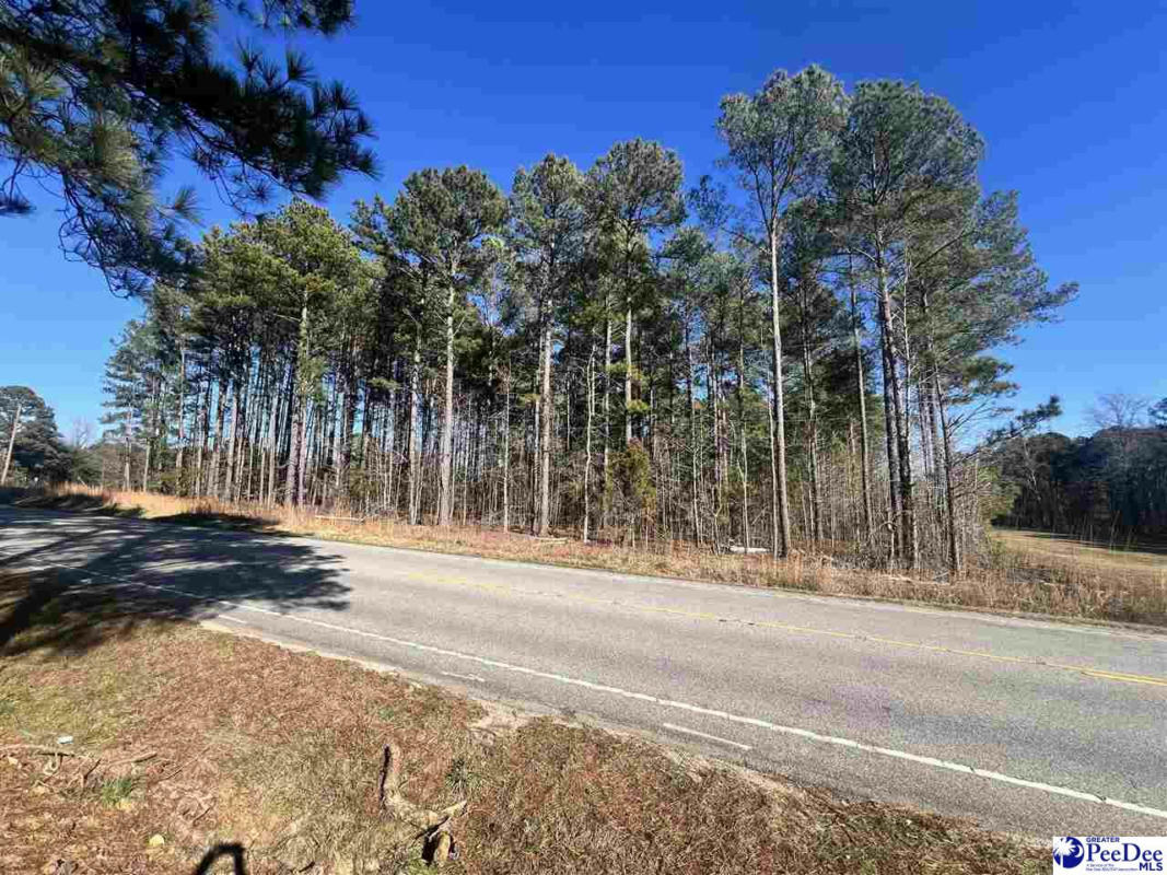 TBD HWY 145 NORTH, CHESTERFIELD, SC 29709, photo 1 of 2