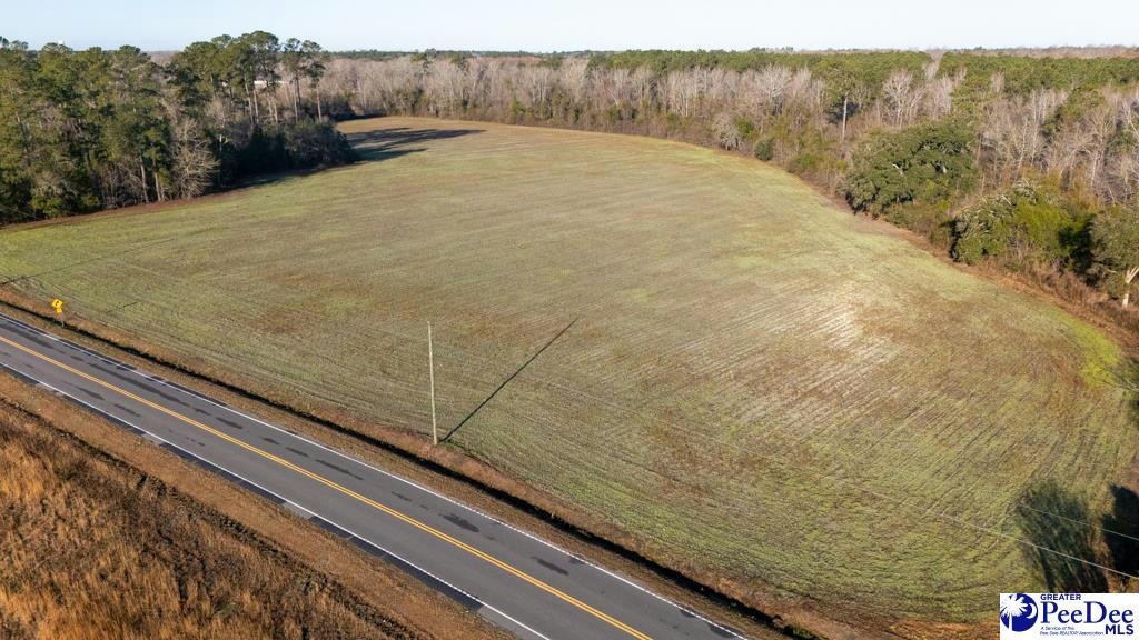 TBD HORSE BRANCH RD, TURBEVILLE, SC 29162, photo 1 of 11