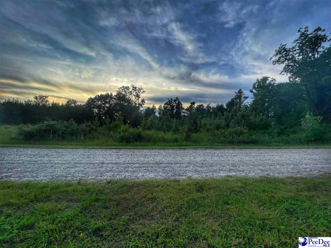 LOT 14 S MCLAURIN LAKE CIRCLE, DILLON, SC 29536, photo 1 of 5