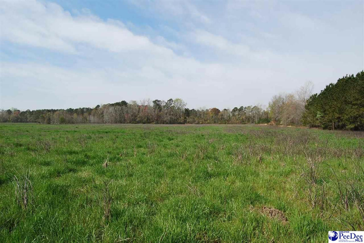 TBD CLEARBROOK RD, EFFINGHAM, SC 29541, photo 1 of 6