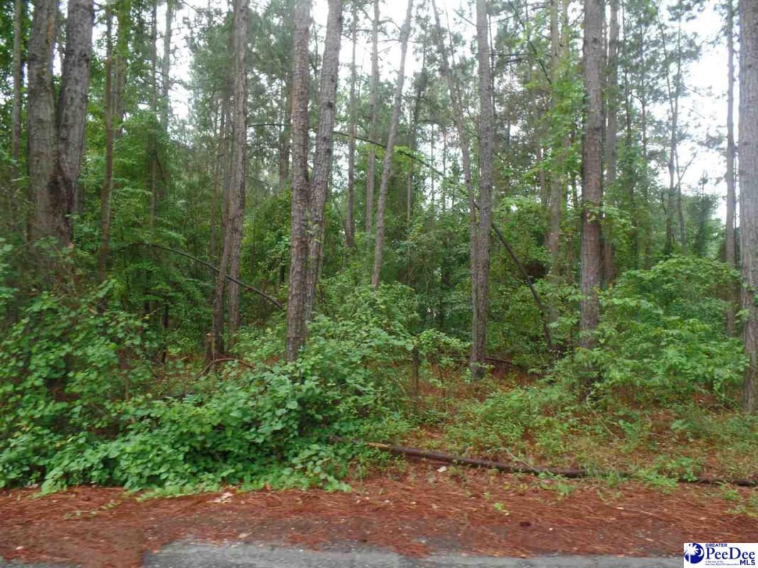 PALMETTO DR - LOT 49, HARTSVILLE, SC 29550, photo 1