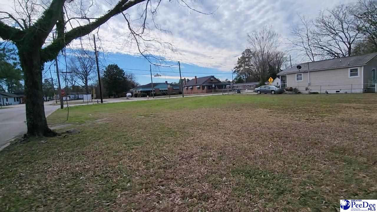 207 W LIBERTY ST, MARION, SC 29571, photo 1 of 5