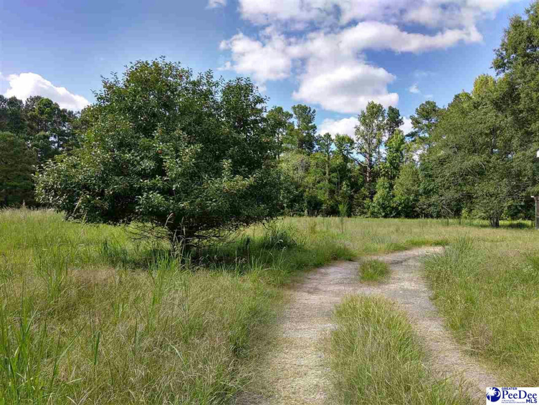 129 FIFTH ST, TIMMONSVILLE, SC 29161, photo 1 of 16